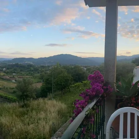 The Assento Elegance And Nature *