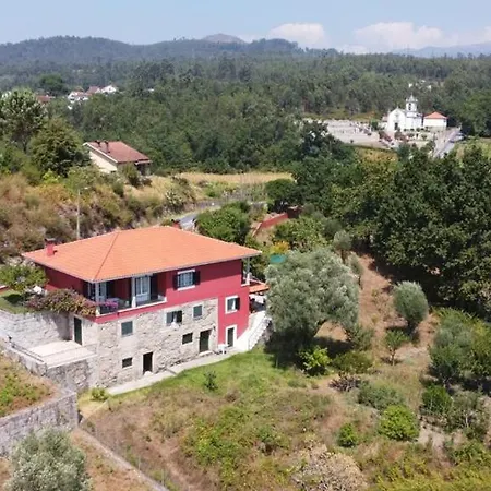 The Assento Elegance And Nature