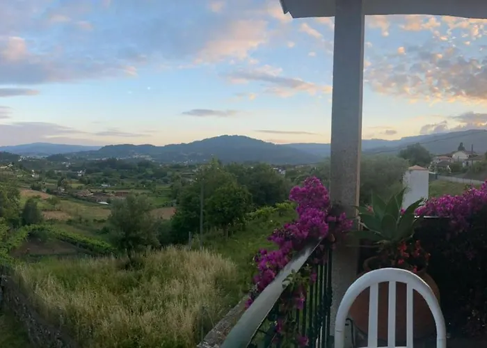 The Assento Elegance And Nature *